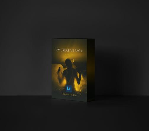 polinawashington.com
