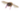 Пчёлы
