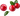 иллюстрация клюква
