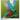 Quetzal is the national symbol of Guatemala