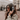 Atvel Zorro Z5 - APP