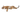 Корма для кошек