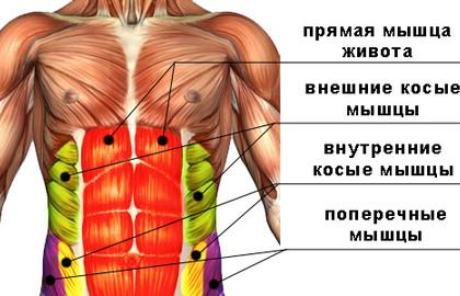 Пластика живота