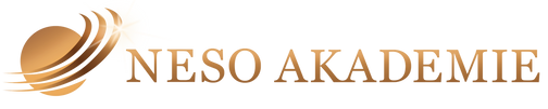 lp.nesoacademie.com