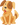 УЗИ