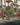 Street retail Monterosso բնակելի համալիրում, Երևան — ժամանակակից խանութներ և ծառայություններ pěշքի հասանելիության տարածքում