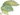 Лист