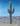cactus, painting, Natali Kalalb, different beauty