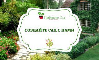 Грибаново Сад - питомник растений рядом с Москвой