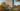 3D render of an economy-class residential property in the atmosphere of a sunset and autumn foliage