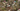 Фотограмметрическая 3D-модель участка с загородным домом на склоне. Визуализация рельефа местности, окружающей застройки и интеграции современного архитектурного проекта в природный ландшафт.