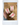 Adidas, Nike, New Balance, Asics, Yeezy, Converse, Jordan, Vans, Salomon, Адидас, Найк, Нью беленс, ньюбеленс, асикс, конверс, ванс, саломон, оригинальные кроссовки, оригинал, доставка от 1 дня, летние мужские и женские кроссовки, самба, газель, обувь