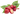 Veronese кофе ветка с зернами