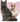Гостиница для кошек