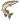 щука