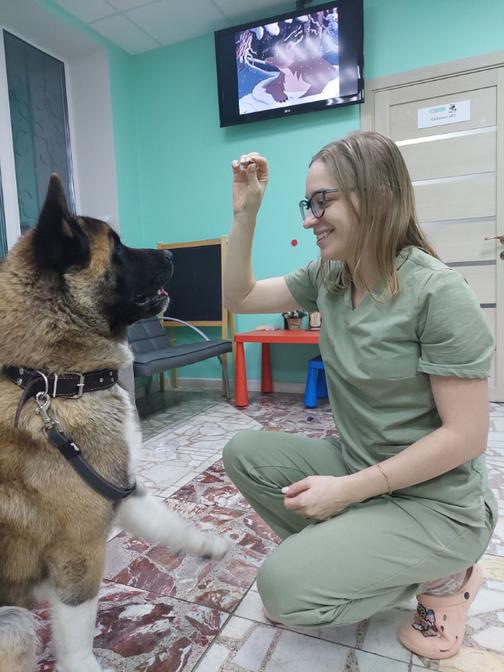 Главная станица