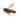 Пчёлы
