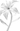 брендинг и айдентика