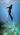 Freediving beginner courses