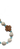 четки