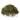 Куст