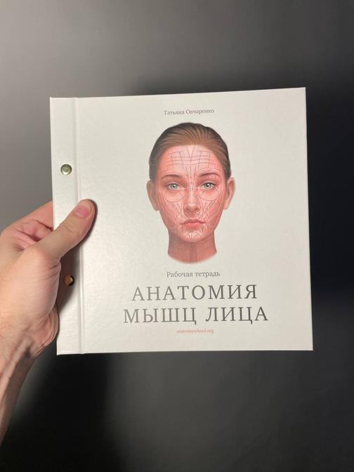 Anatomy School — Рабочая тетрадь. Анатомия мышц лица
