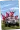 Туры Max-Bus