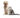 Собака с кошкой 
