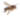 Пчёлы