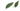 листья