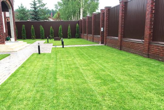 Стандартный газон