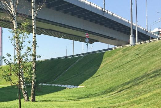 Городской газон