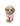 Щенок мальтпу сука
