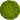 стабилизированный мох 3