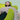 ONY