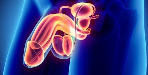 Порно желіде әйелін қара нәсілділерге берді Прагада ерлі-зайыпты әйелдерді алып жатқан порно видеоларды қараңыз.