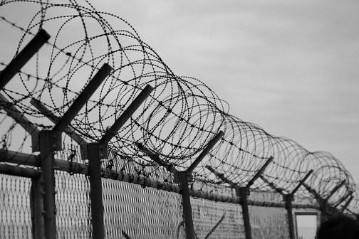 Купить егозу в Новосибирске надежное ограждение и защита вашего имущества