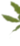 Листва для украшения сайта