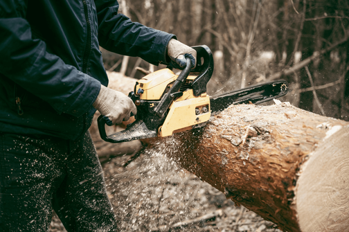 Спил деревьев в Самаре - услуги по обрезке, кронировании и уборке ...