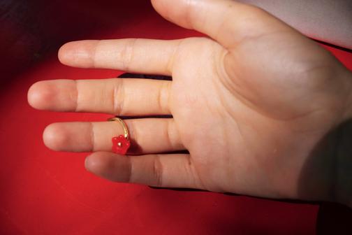 Журнал. Коллекция Буэнос-Айрес