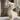 Devon-Rex