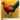 The Sri Lankan Junglefowl is the national symbol of Sri Lanka