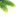 paporotnik_header