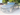 A rent BMW 