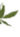 трава