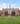 Harvard University помощь в поступлении в США