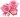 Розы
