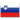 Russian to Slovenian translation of documents in the UK