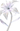 брендинг дизайн