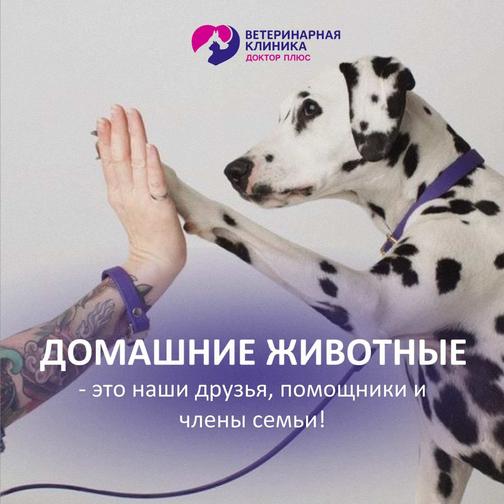 Ветеринарная клиника Доктор Плюс